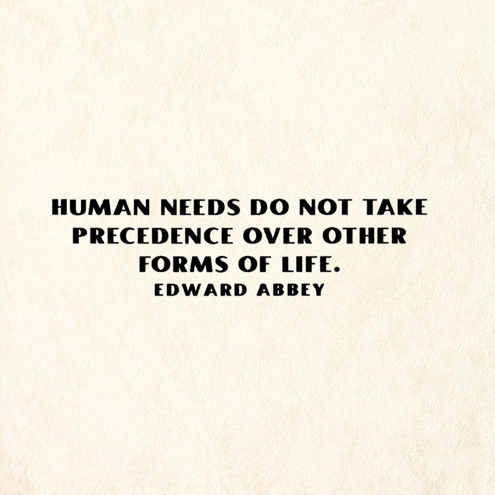 StampaFe Human Needs Do Not Take Precedence Over Other Life Rubber Art Stamp