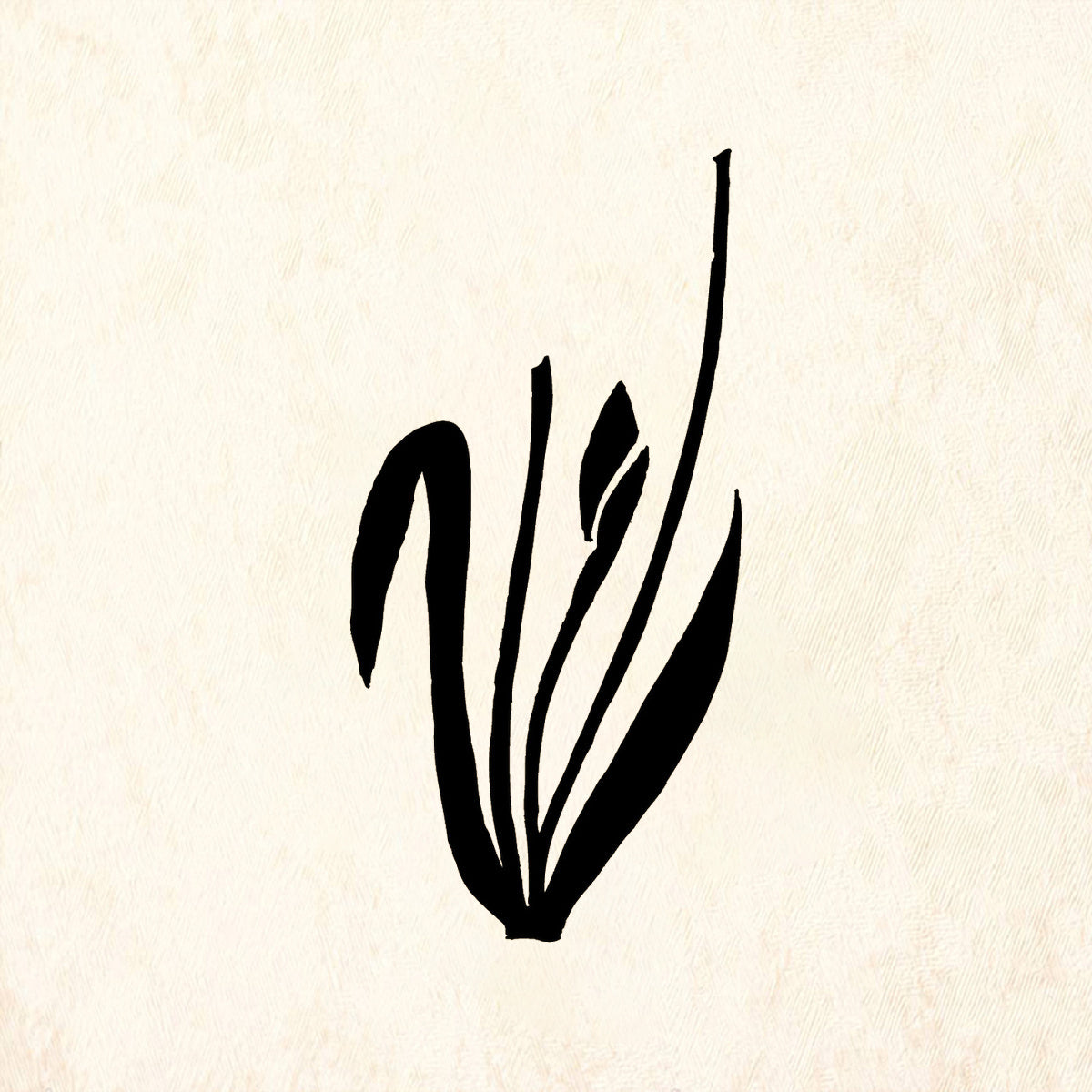 StampaFe Bulb Stem Large Botanical Rubber Art Stamp