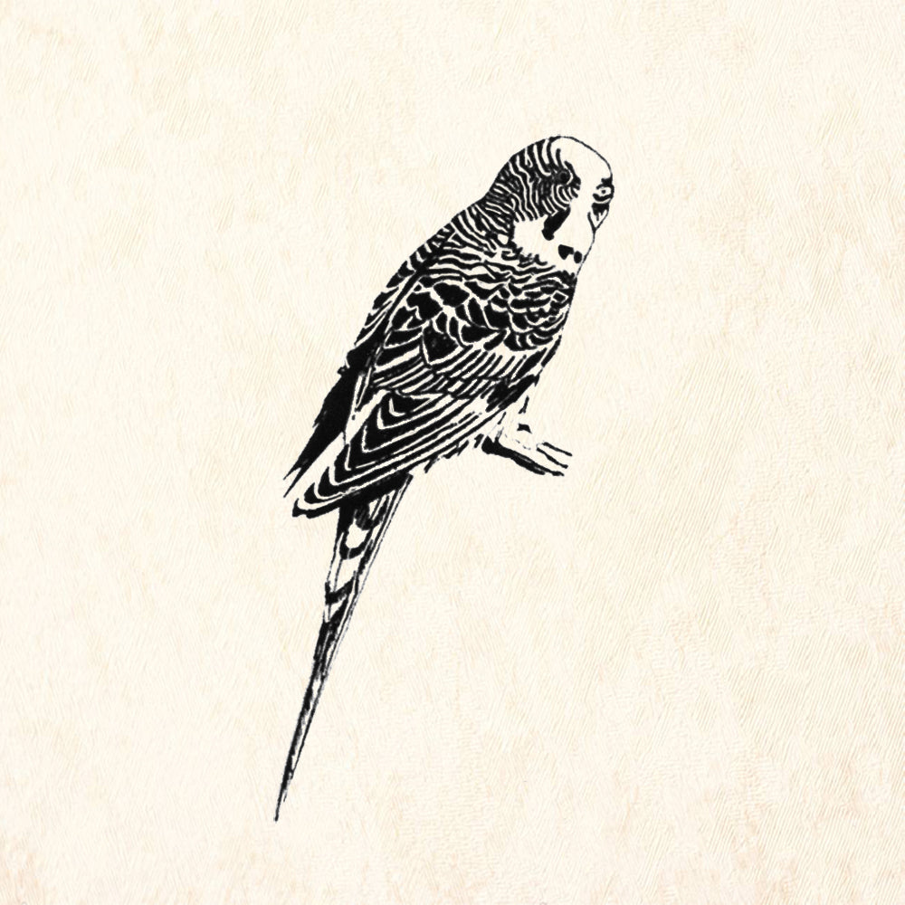 StampaFe Parakeet Bird Rubber Art Stamp