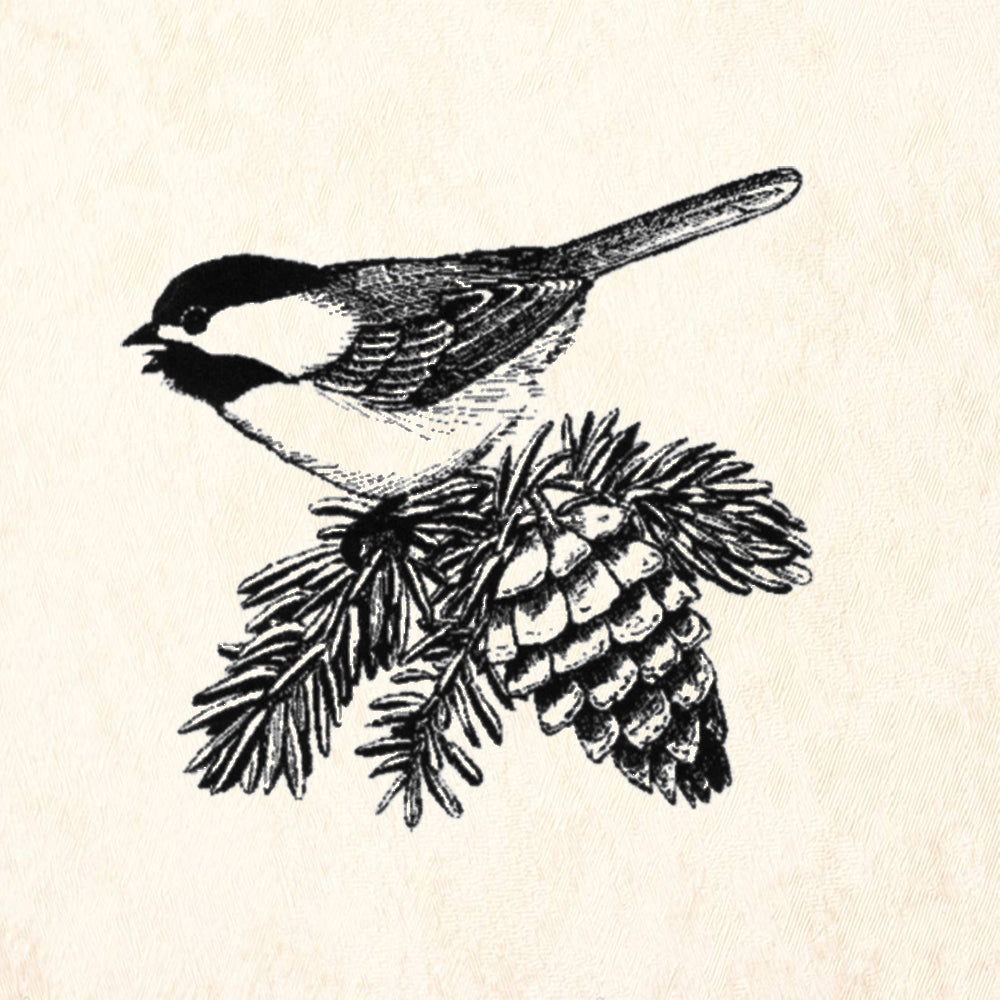 StampaFe Chickadee Pine Branch Bird Rubber Art Stamp