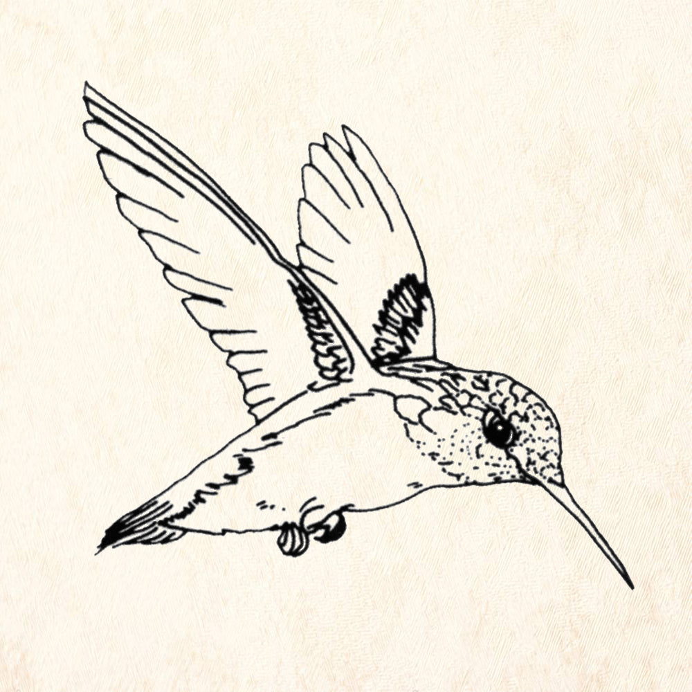 StampaFe Hummingbird in Flight Rubber Art Stamp