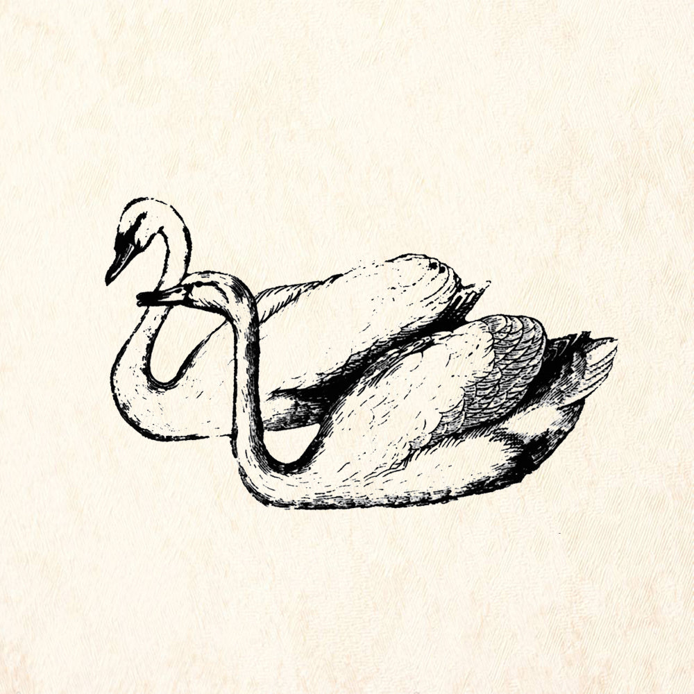 StampaFe Swan Bird Rubber Art Stamp