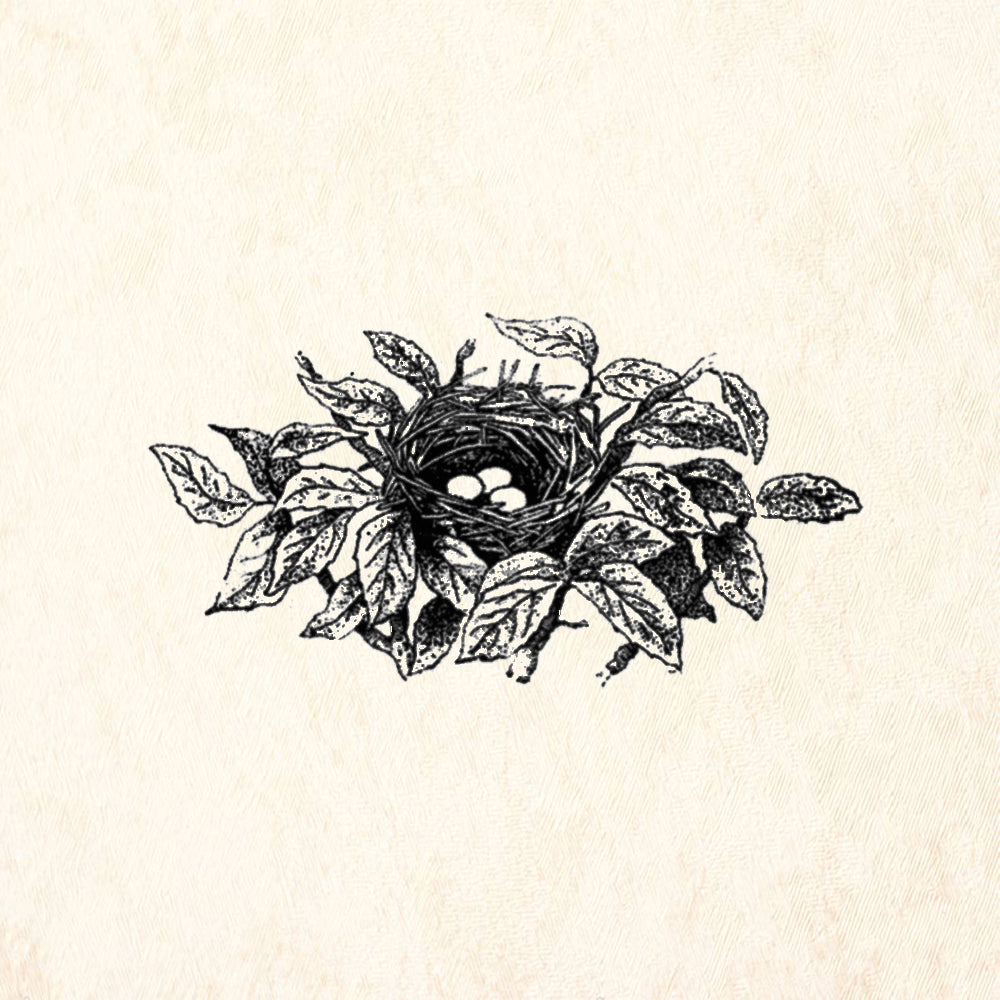 StampaFe Nest #2 Bird Nest Rubber Art Stamp