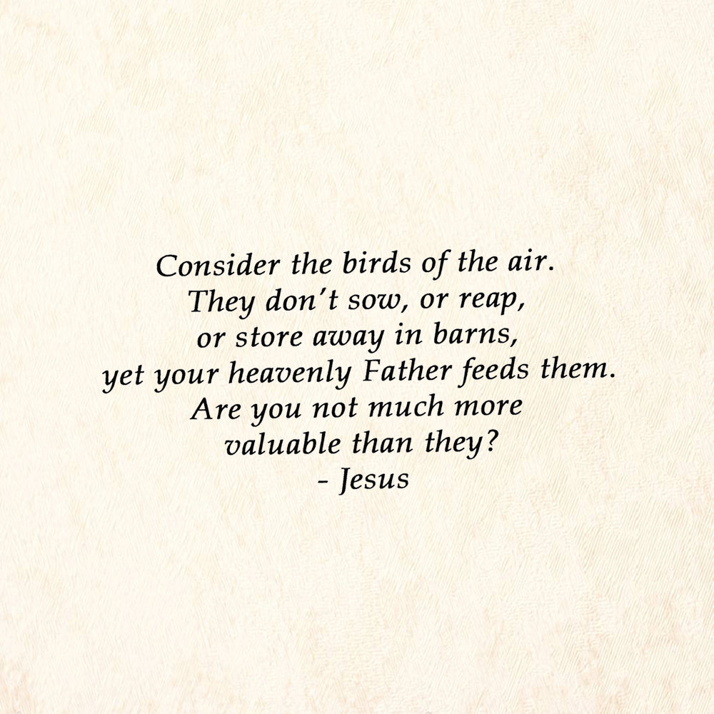 StampaFe Consider the Birds of the Air by Jesus Rubber Art Stamp