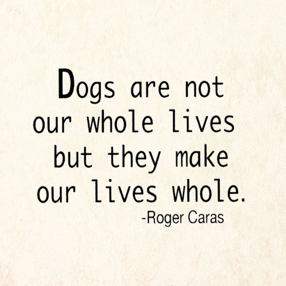 Dogs Are Not