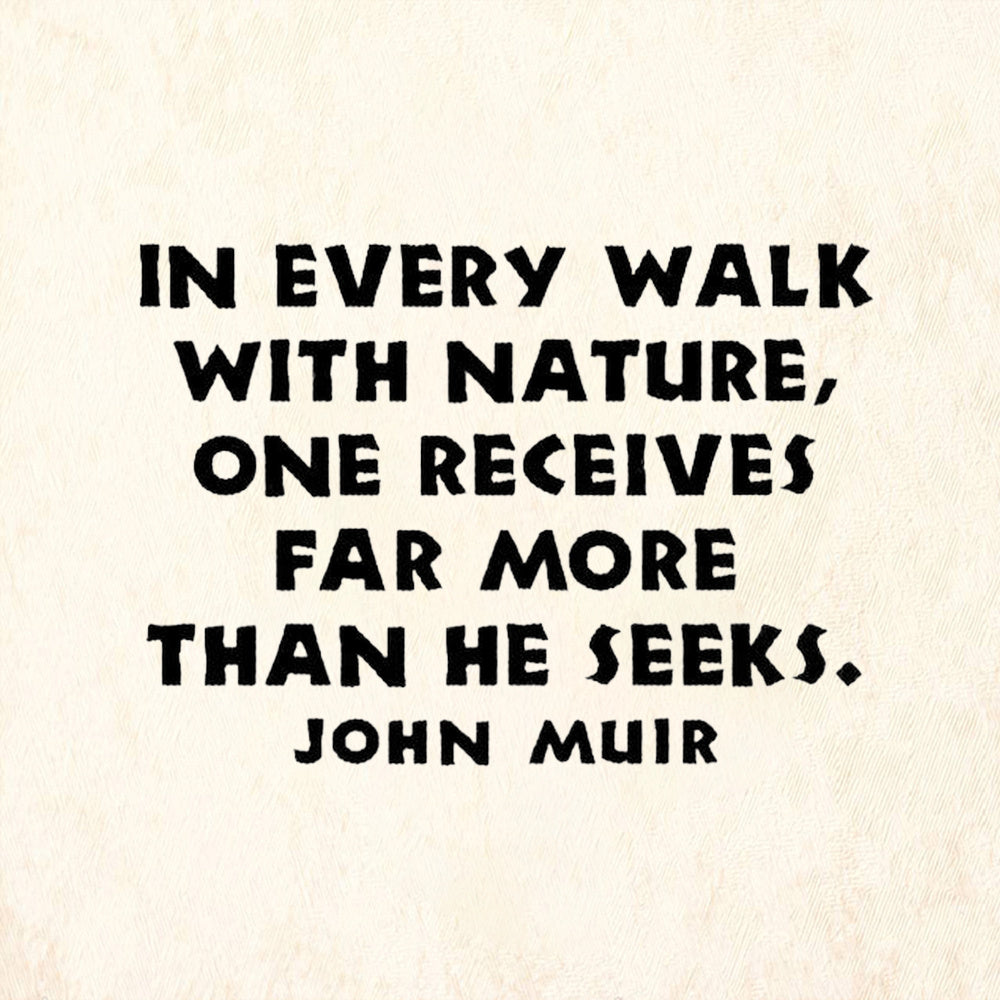 StampaFe In Every Walk With Nature Quote by John Muir Rubber Art Stamp