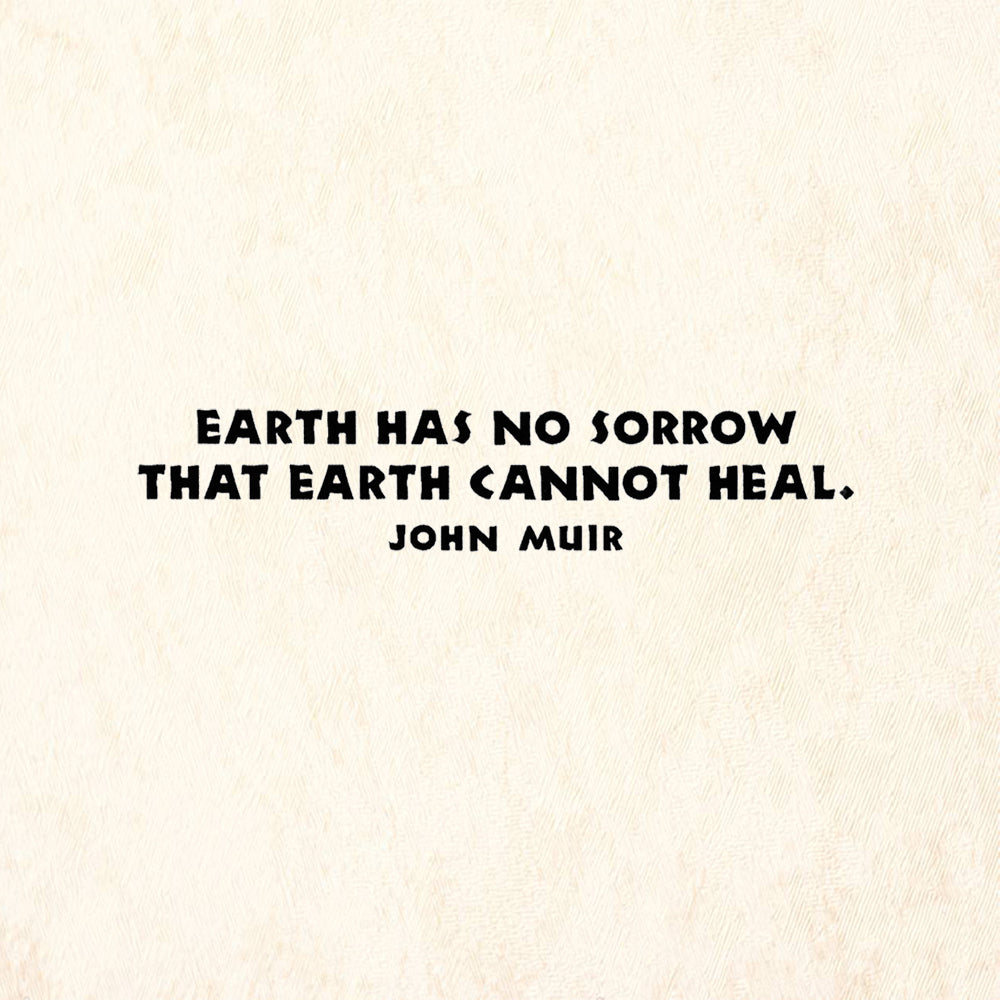 StampaFe No Sorrow Earth Cannot Heal Quote by John Muir Rubber Art Stamp