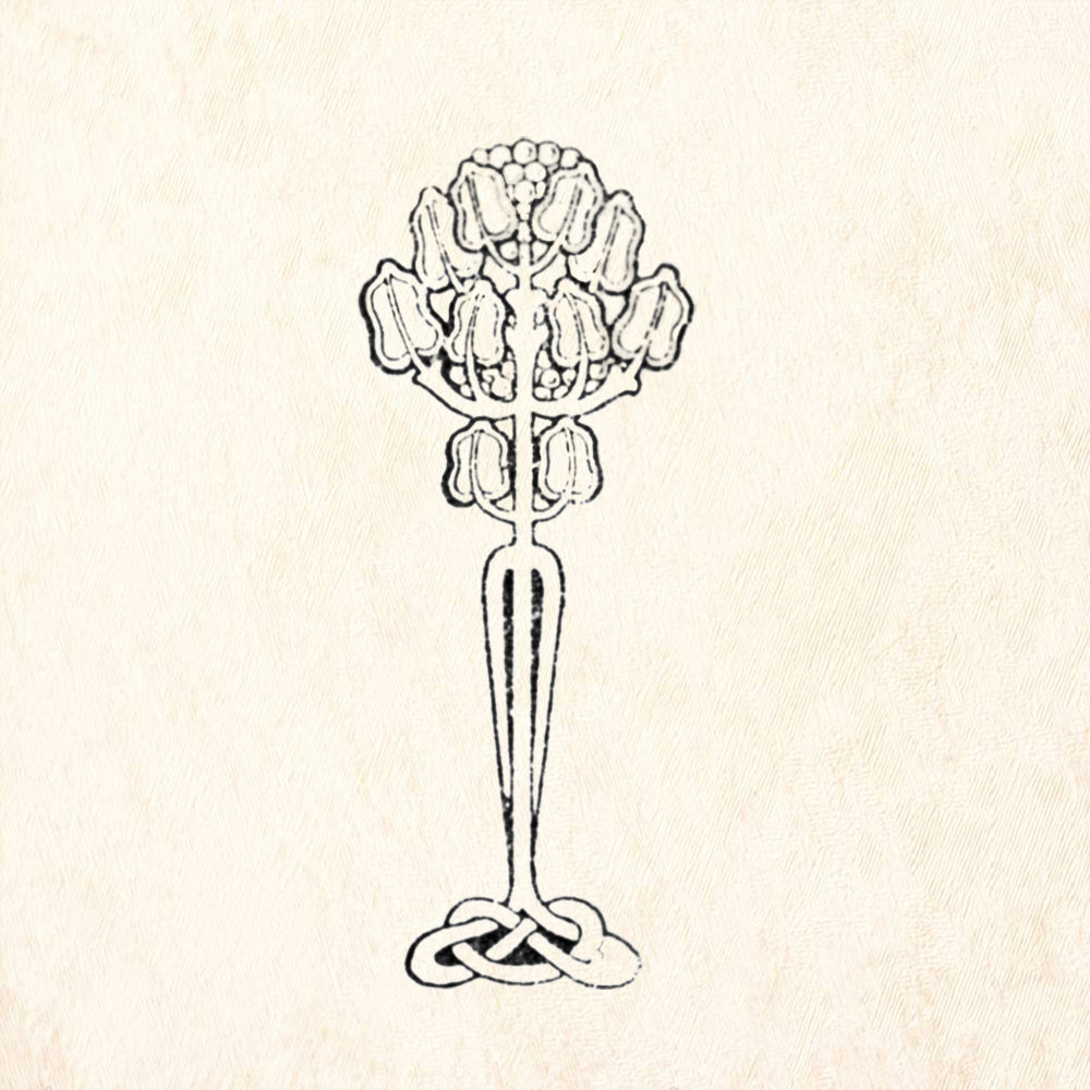 StampaFe Marseilles Botanical Rubber Art Stamp