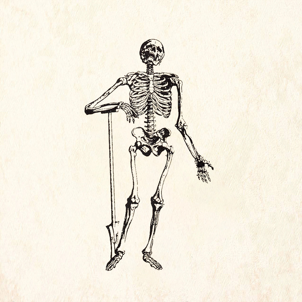 StampaFe Skeleton with shovel Gothic Rubber Art Stamp