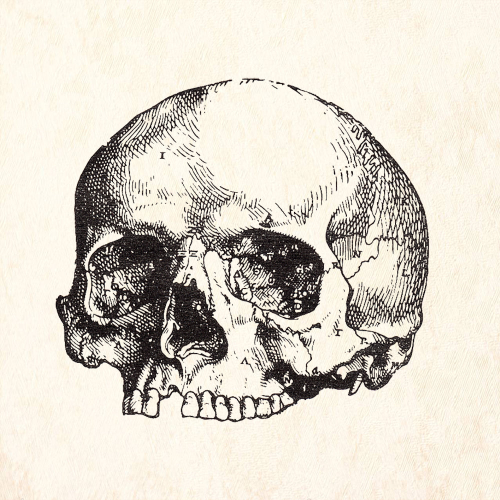 StampaFe Cranium Gothic Rubber Art Stamp