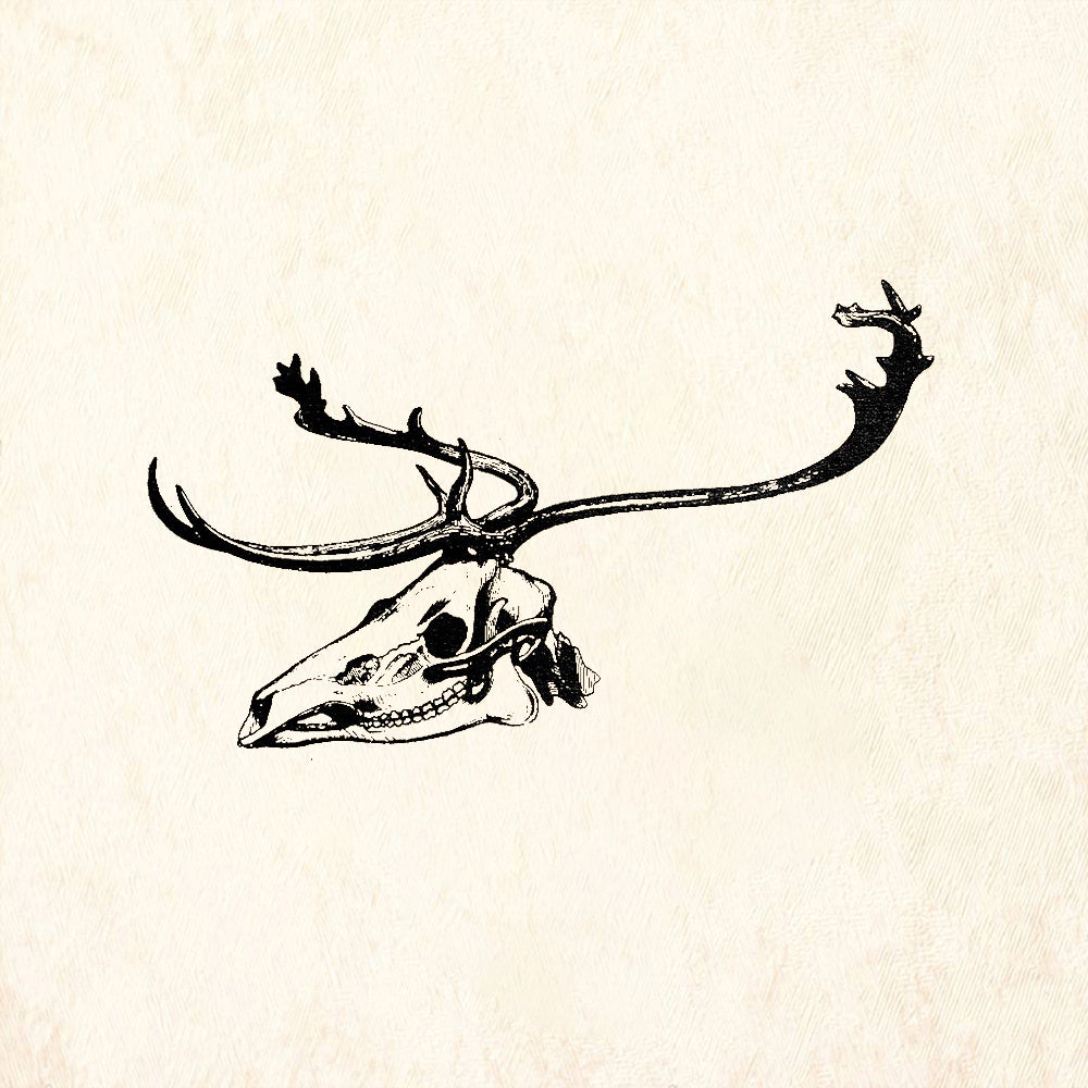 StampaFe Caribou Skull Nature Rubber Art Stamp