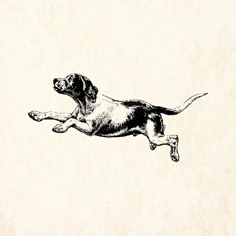 StampaFe Dream Dog Animal Rubber Art Stamp