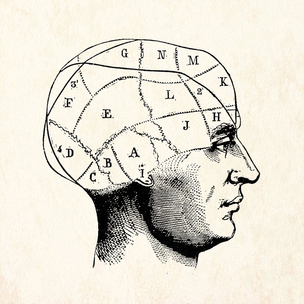 StampaFe Vintage Categorical Perception Phrenology Rubber Art Stamp
