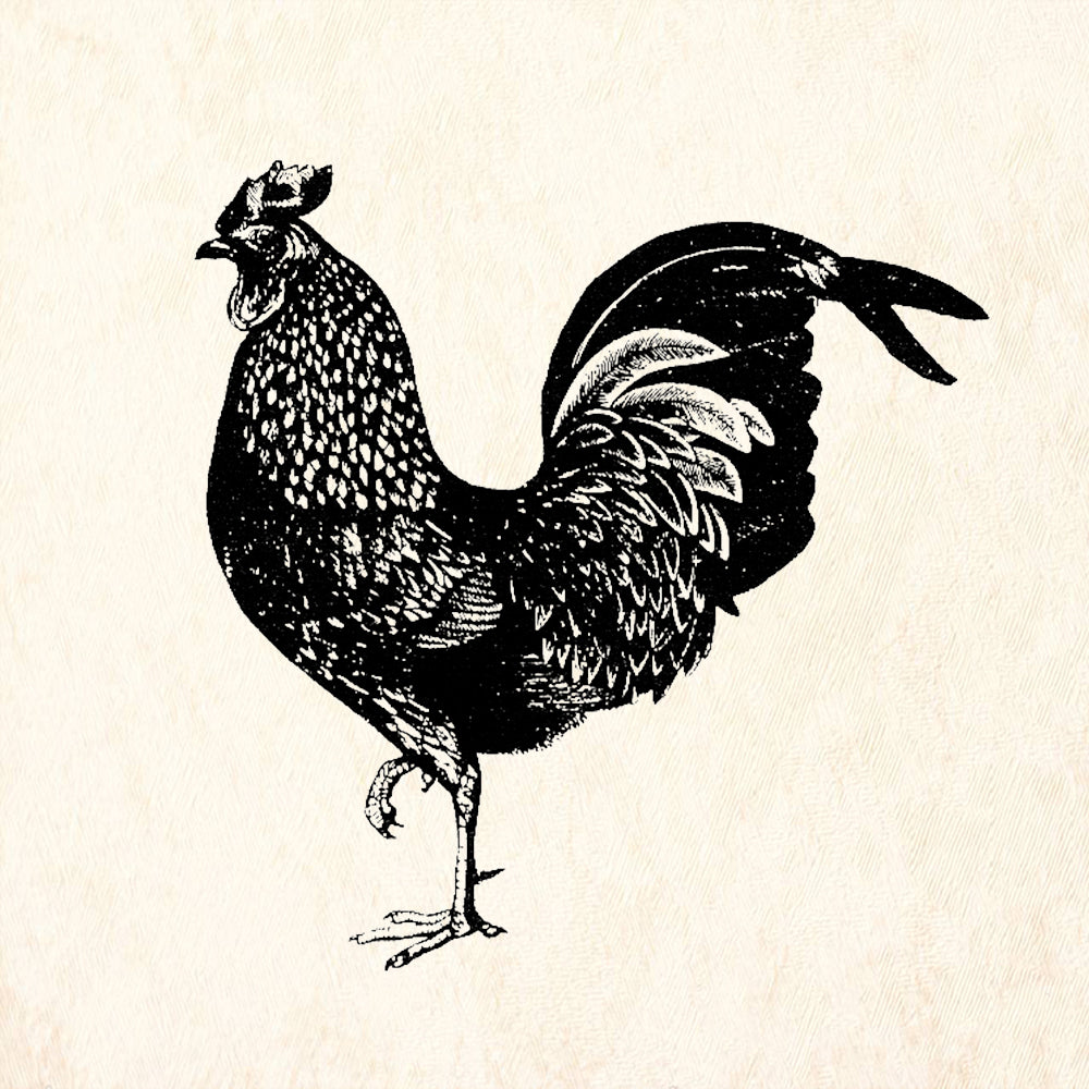 StampaFe Rooster Animal Rubber Art Stamp