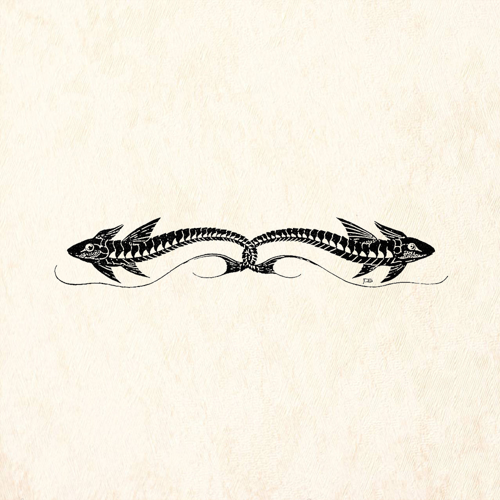 StampaFe Double Fish Border Nature Rubber Art Stamp