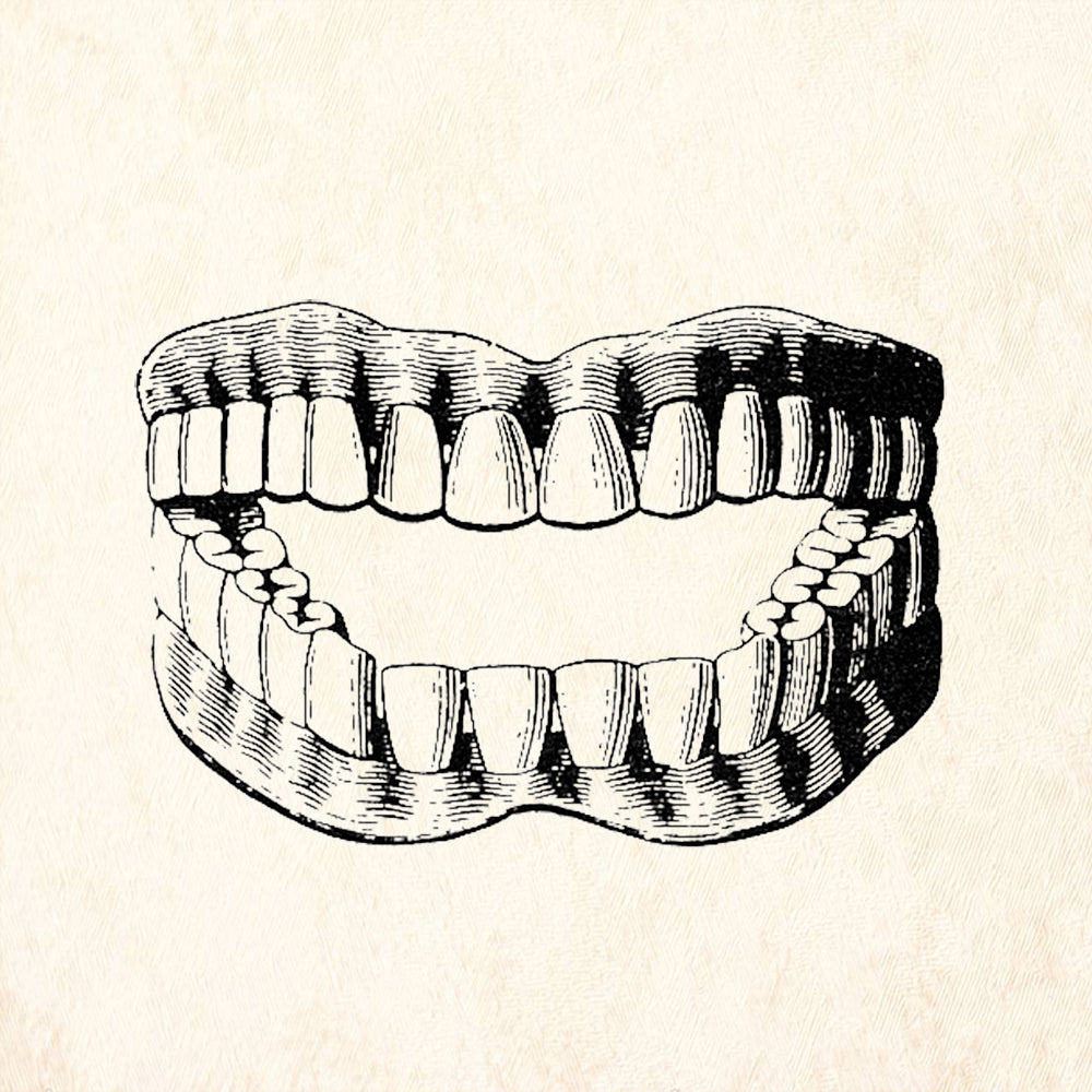 StampaFe False Teeth Dentures Vintage Humor Rubber Art Stamp