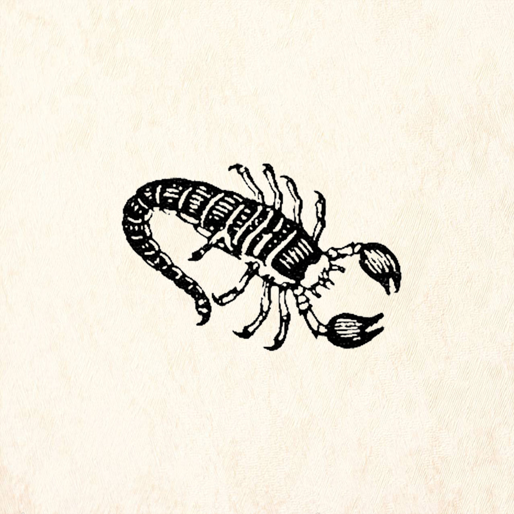 StampaFe Stylized Scorpion Zodiac Rubber Art Stamp