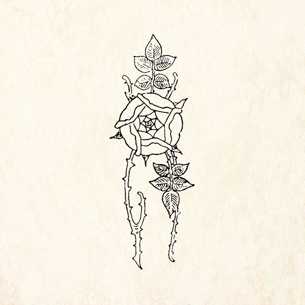 StampaFe Rose of Sharon Thorny Stem Botanical Rubber Art Stamp