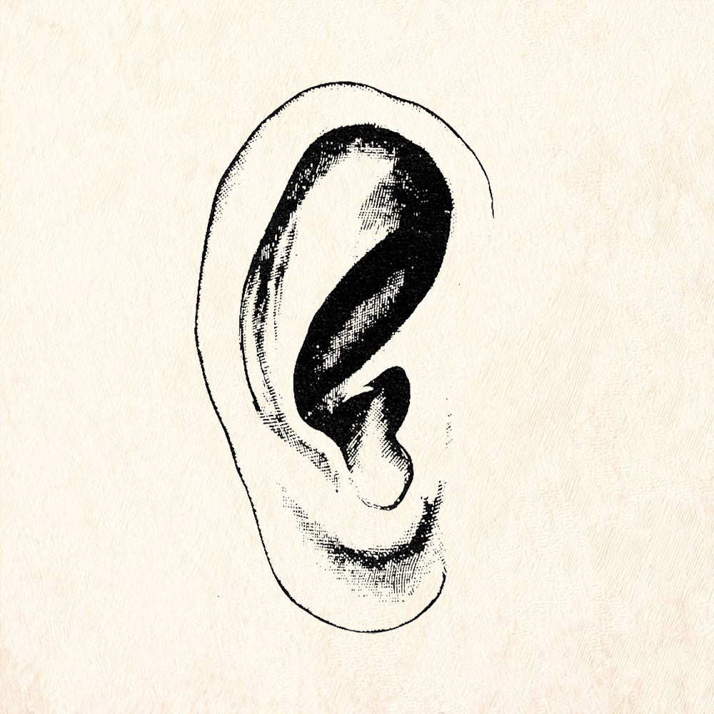 StampaFe Ear Right Human Anatomy Rubber Art Stamp