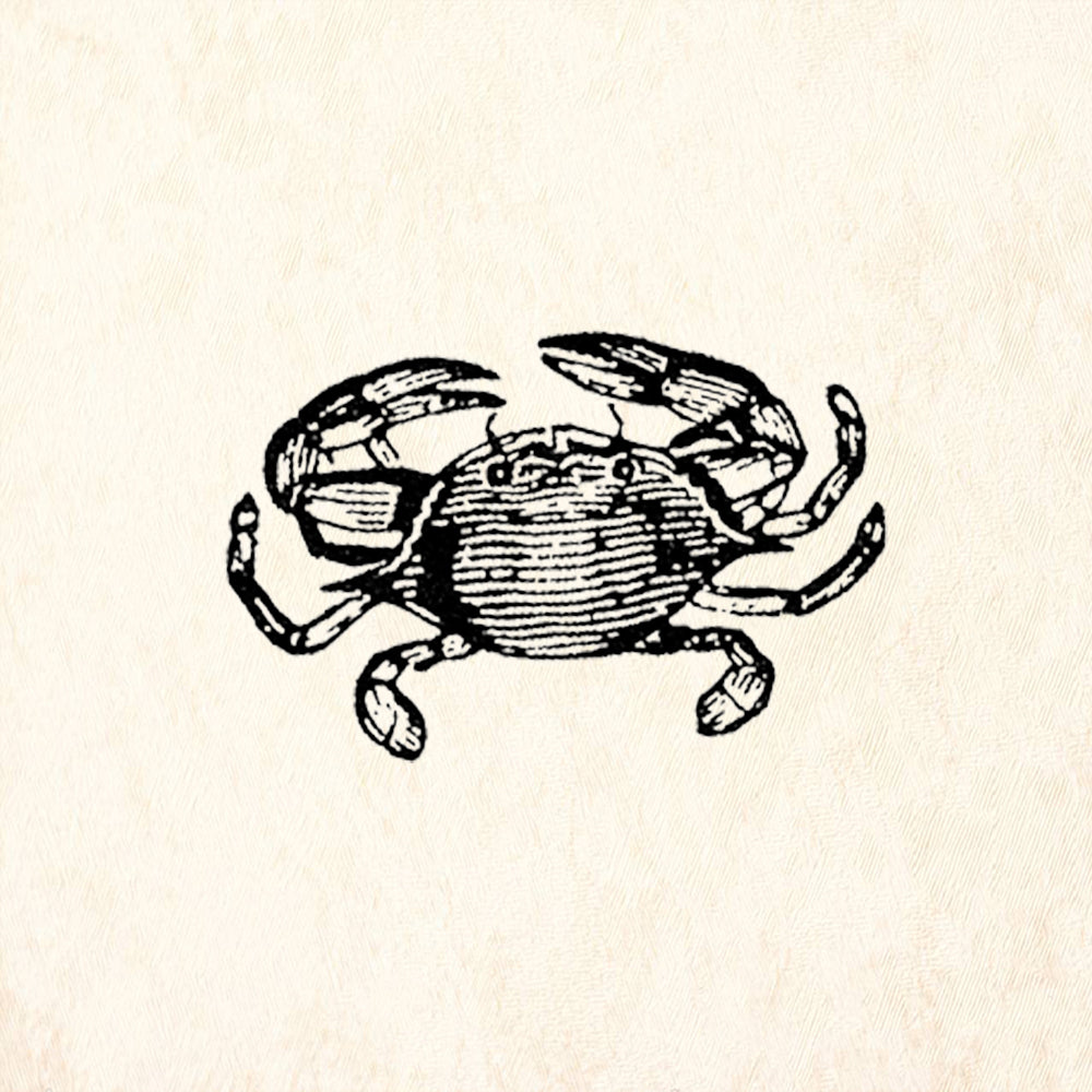 StampaFe Tiny Crab Ocean Rubber Art Stamp