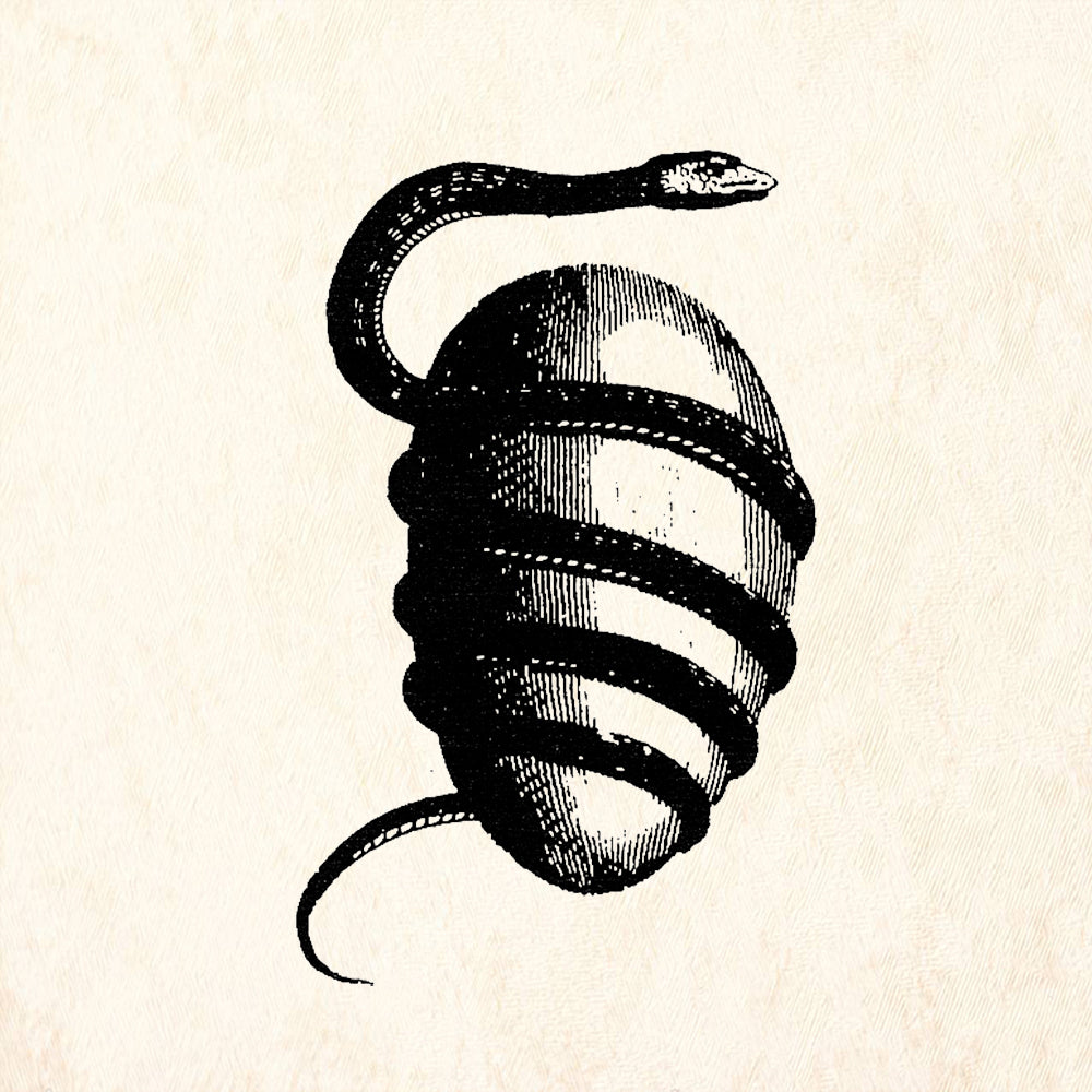 StampaFe Snake and Egg Right Coiled Serpent Rubber Art Stamp