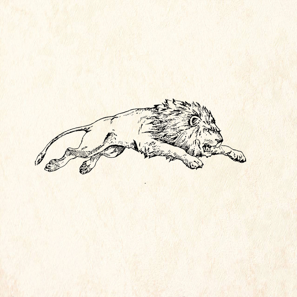 StampaFe Leaping Lion Right Powerful Animal Rubber Art Stamp