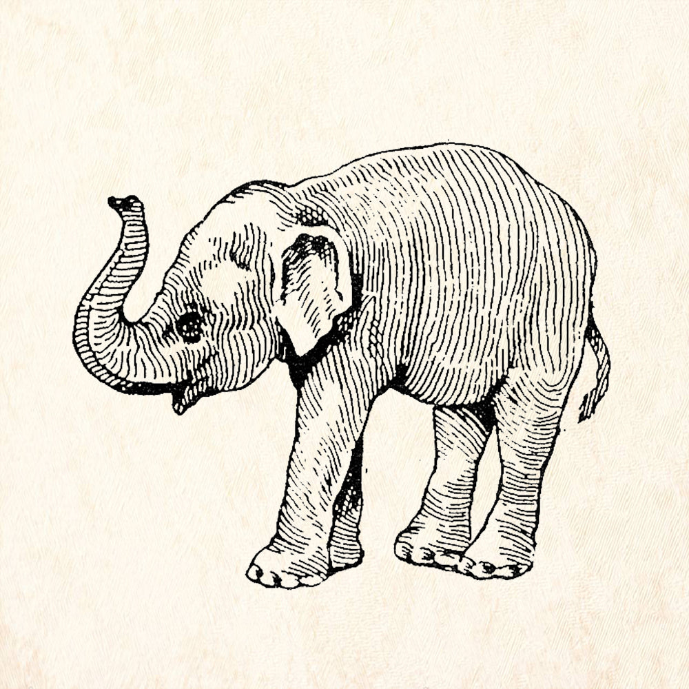 StampaFe Baby Elephant Left Wildlife Rubber Art Stamp