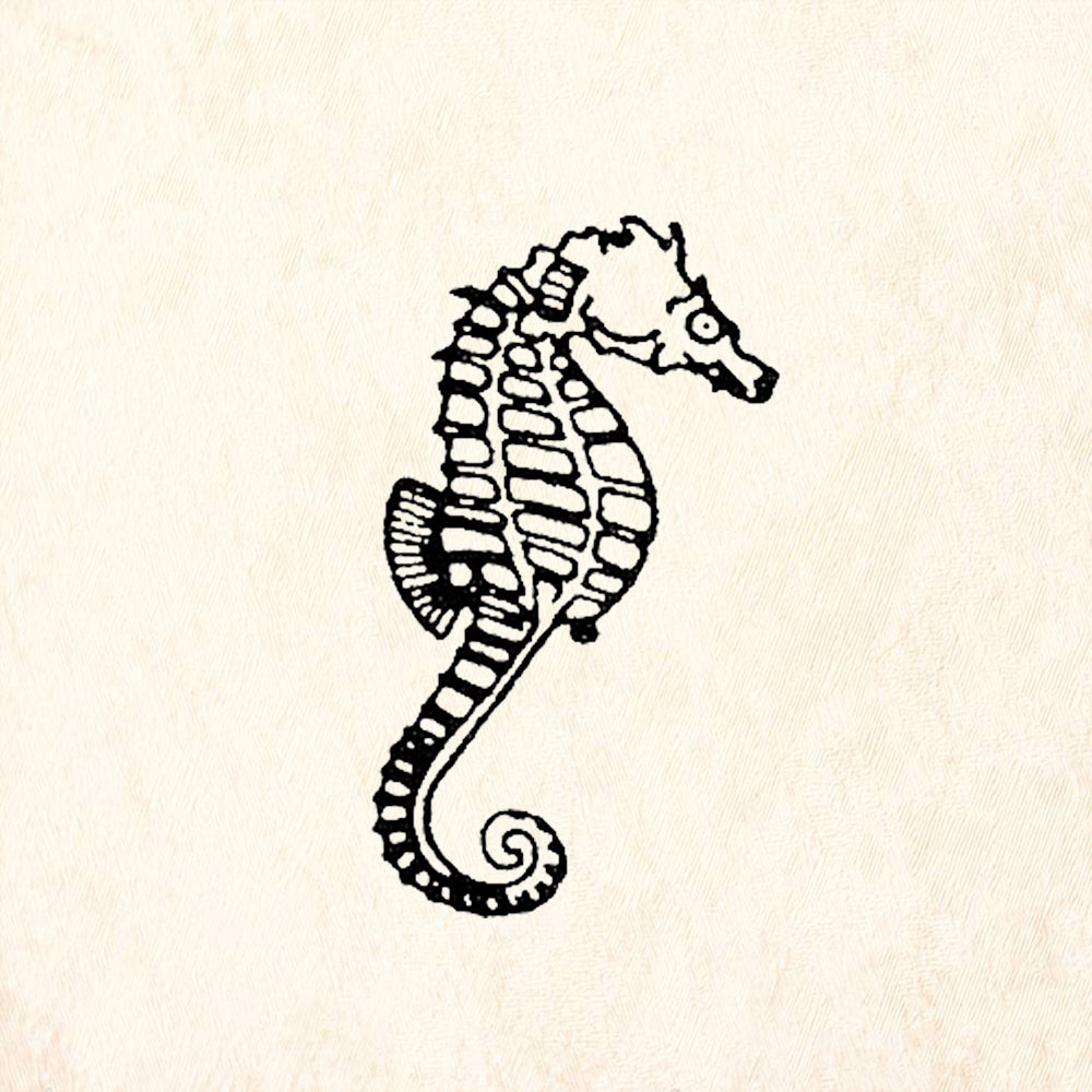 StampaFe Medium Seahorse Right Ocean Rubber Art Stamp