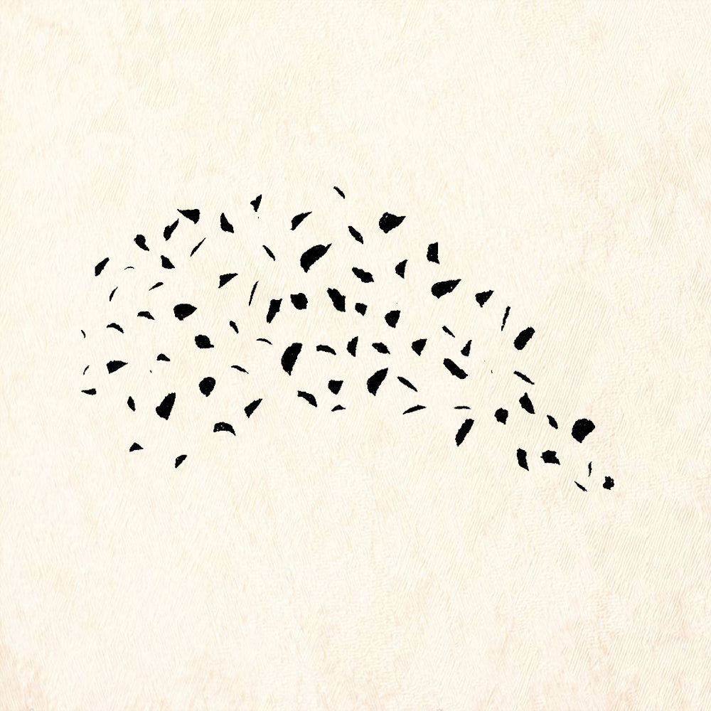 StampaFe Confetti Scattered Party Pieces Rubber Art Stamp