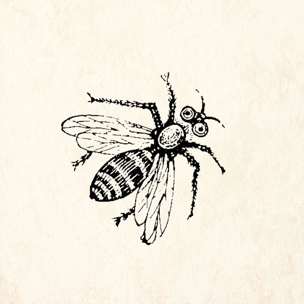 StampaFe Honeybee Botanical Insect Rubber Art Stamp