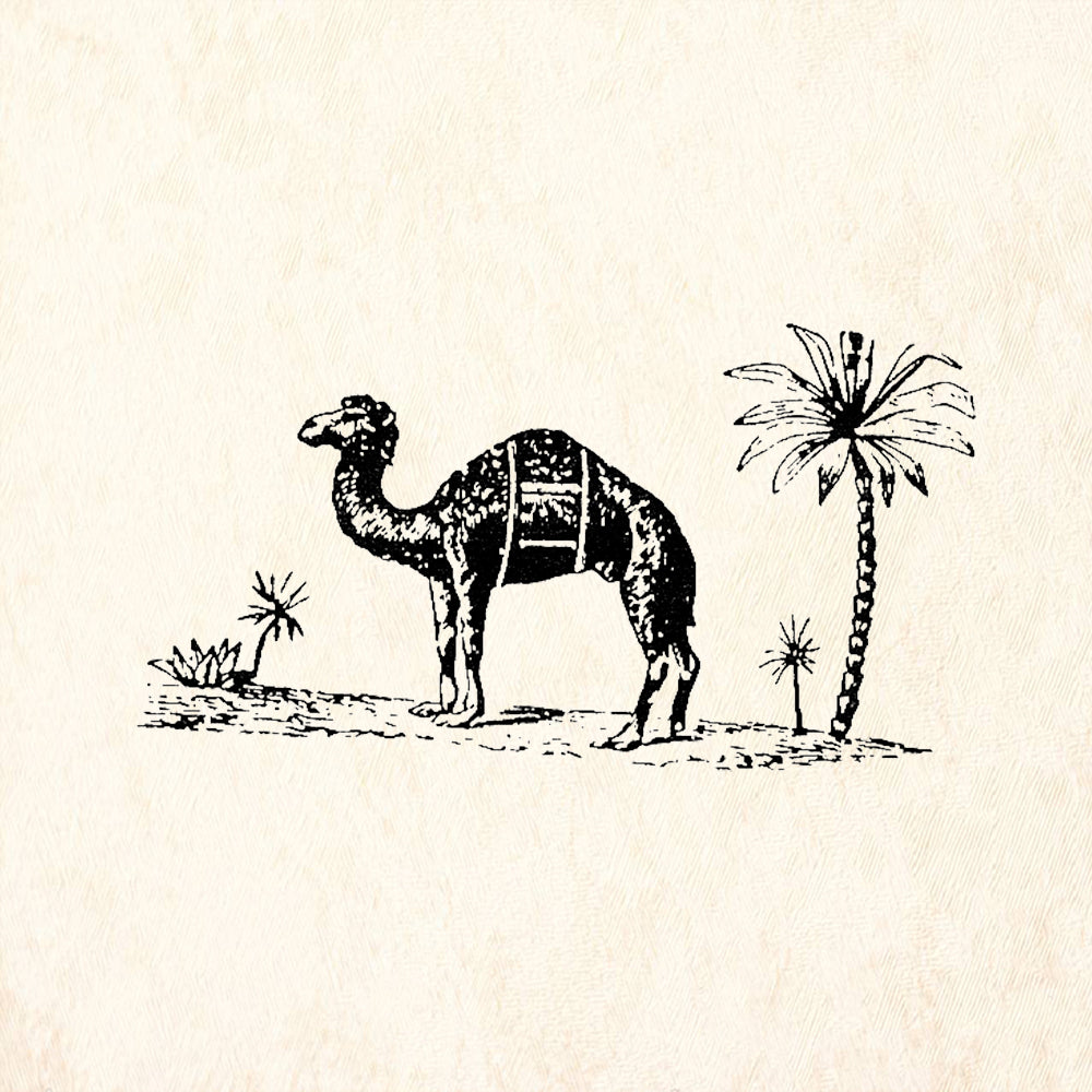 StampaFe Dromedary Camel Desert Palm Tree Rubber Art Stamp