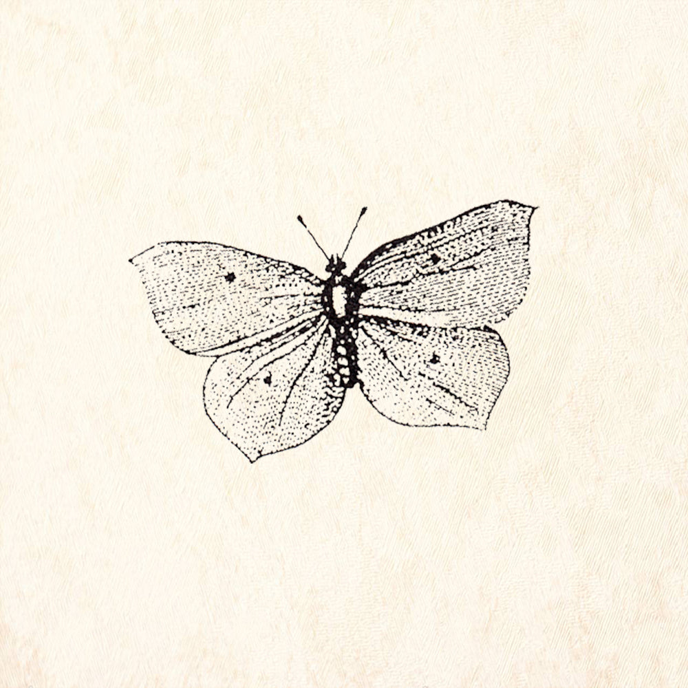 StampaFe Butterfly Plain Natural Insect Rubber Art Stamp