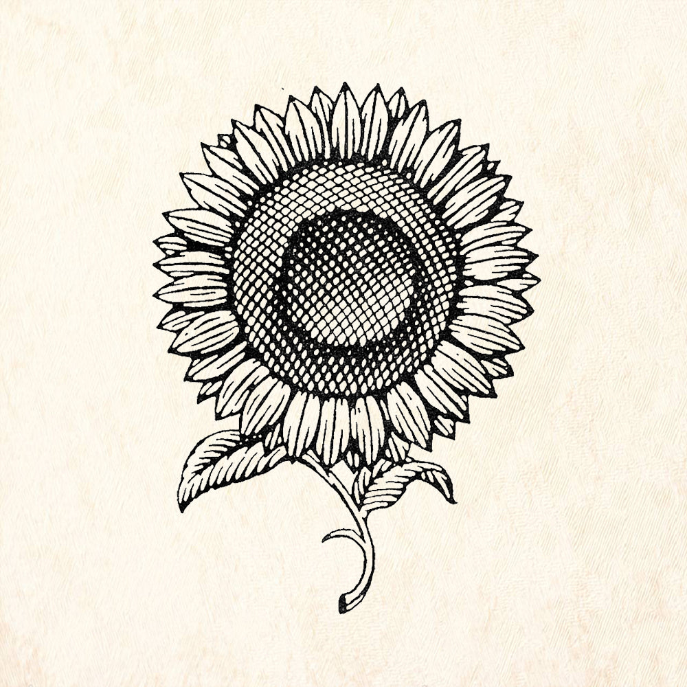 StampaFe Sunflower Rubber Stamp