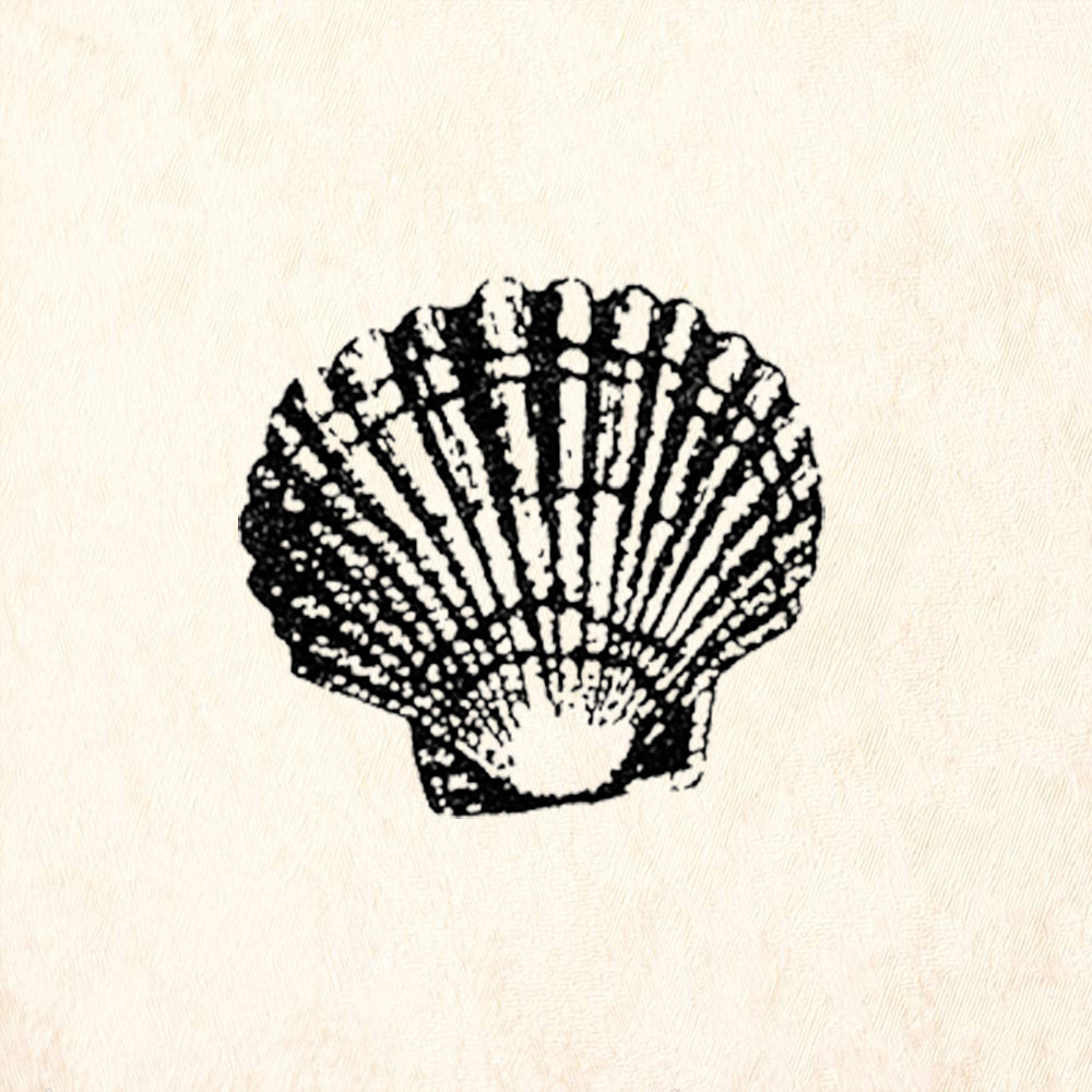 StampaFe Scallop Shell Little Ribbed Seashell Rubber Art Stamp