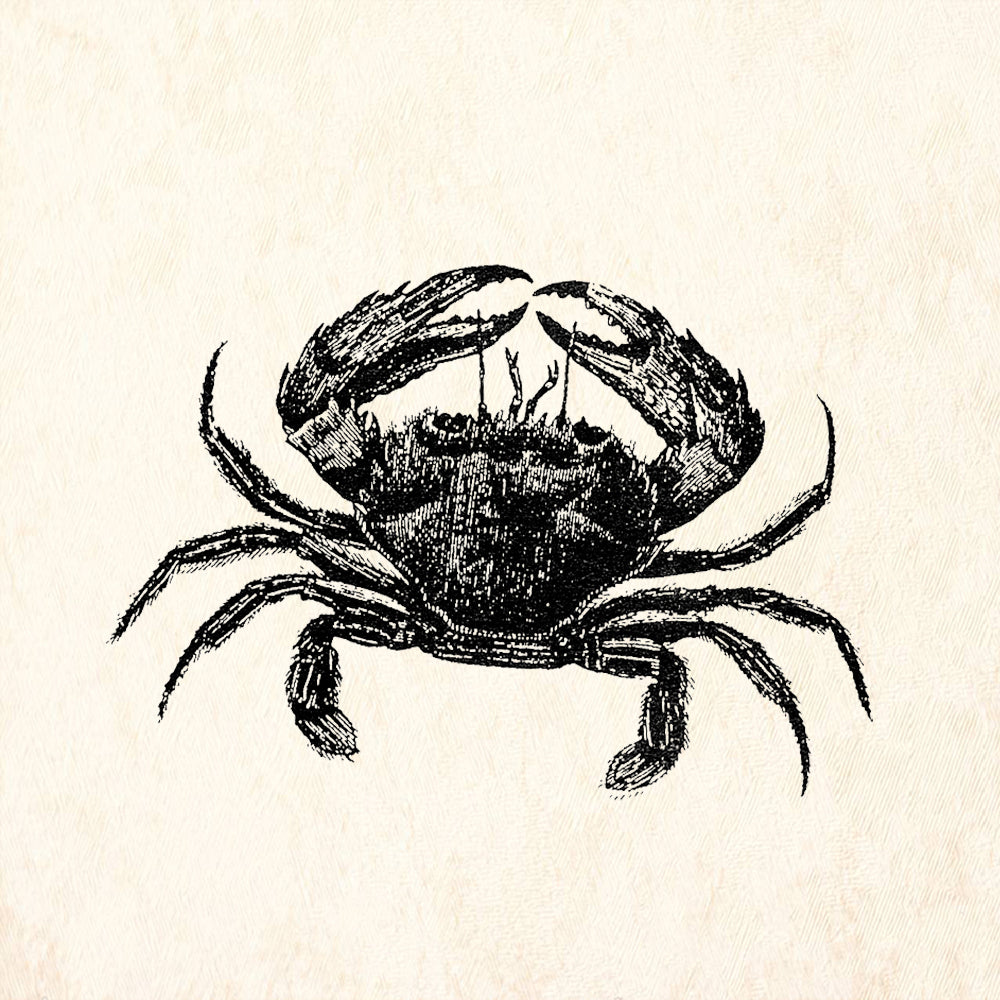StampaFe Large Crab Detailed Sea Life Rubber Art Stamp