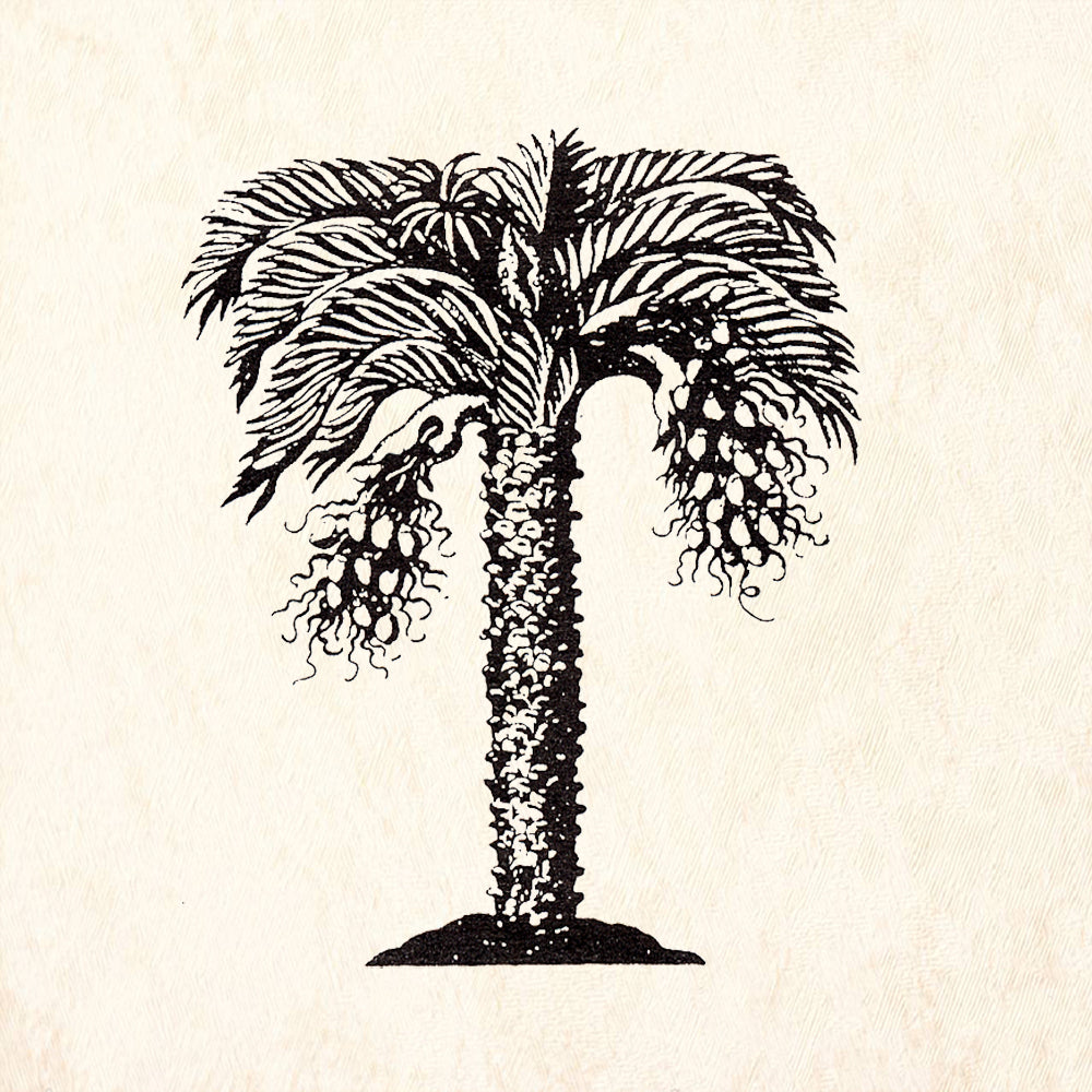 StampaFe Date Palm Tree with Fruit Rubber Art Stamp