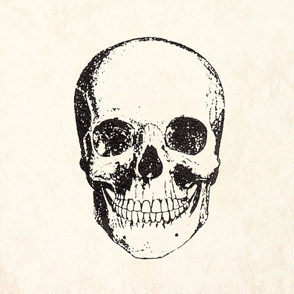 StampaFe Skull Front View Rubber Art Stamp