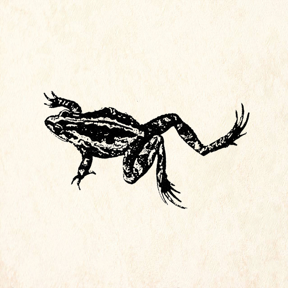 StampaFe Leaping Frog Facing Left Rubber Art Stamp