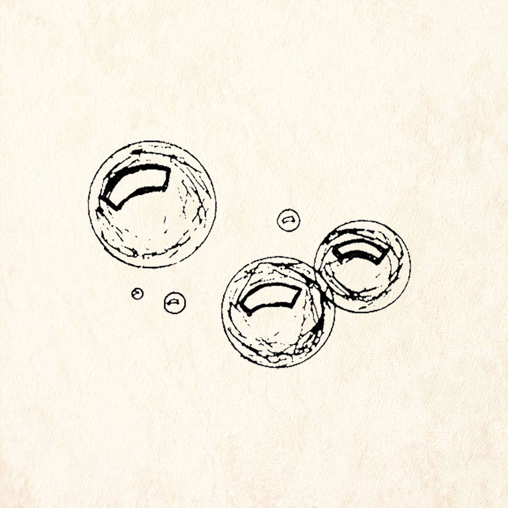 StampaFe Few Bubbles Small Bubble Cluster Rubber Art Stamp