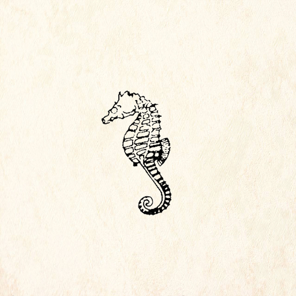 StampaFe Tiny Seahorse Rubber Art Stamp