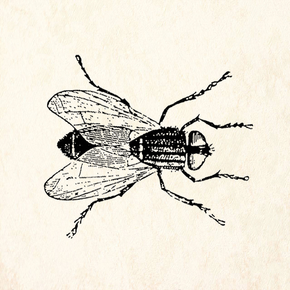 StampaFe Fly Rubber Art Stamp