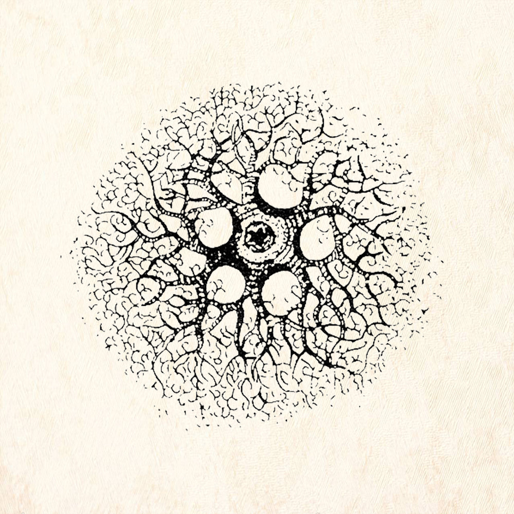 StampaFe Coral Sphere Rubber Art Stamp