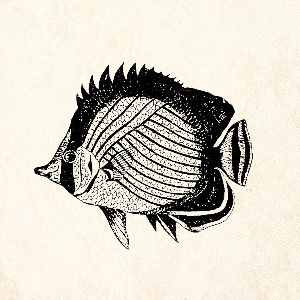 StampaFe Disk Fish Rubber Art Stamp