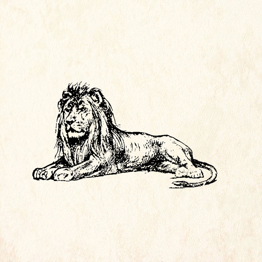StampaFe Resting Lion Rubber Art Stamp