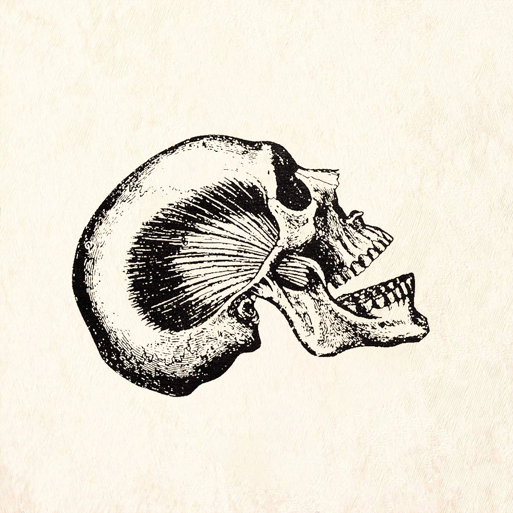 StampaFe Talking Skull Rubber Stamp