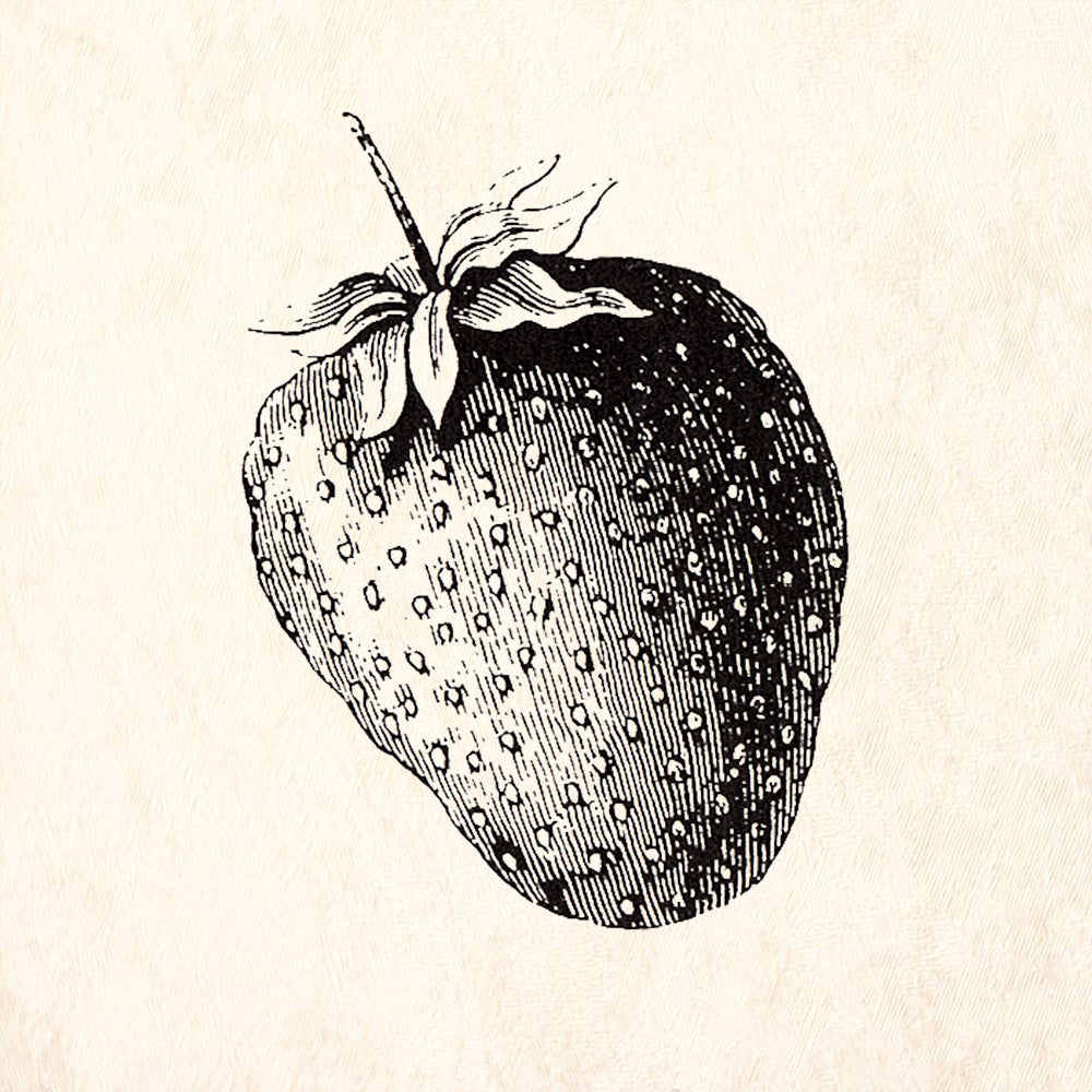 StampaFe Strawberry Rubber Art Stamp
