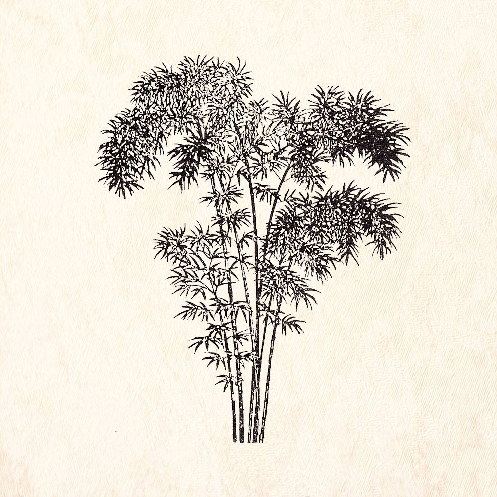 StampaFe Bamboo Grove Rubber Art Stamp