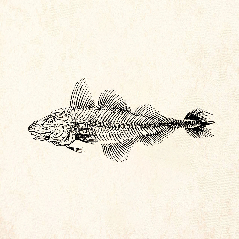 StampaFe Fish Skeleton Rubber Art Stamp