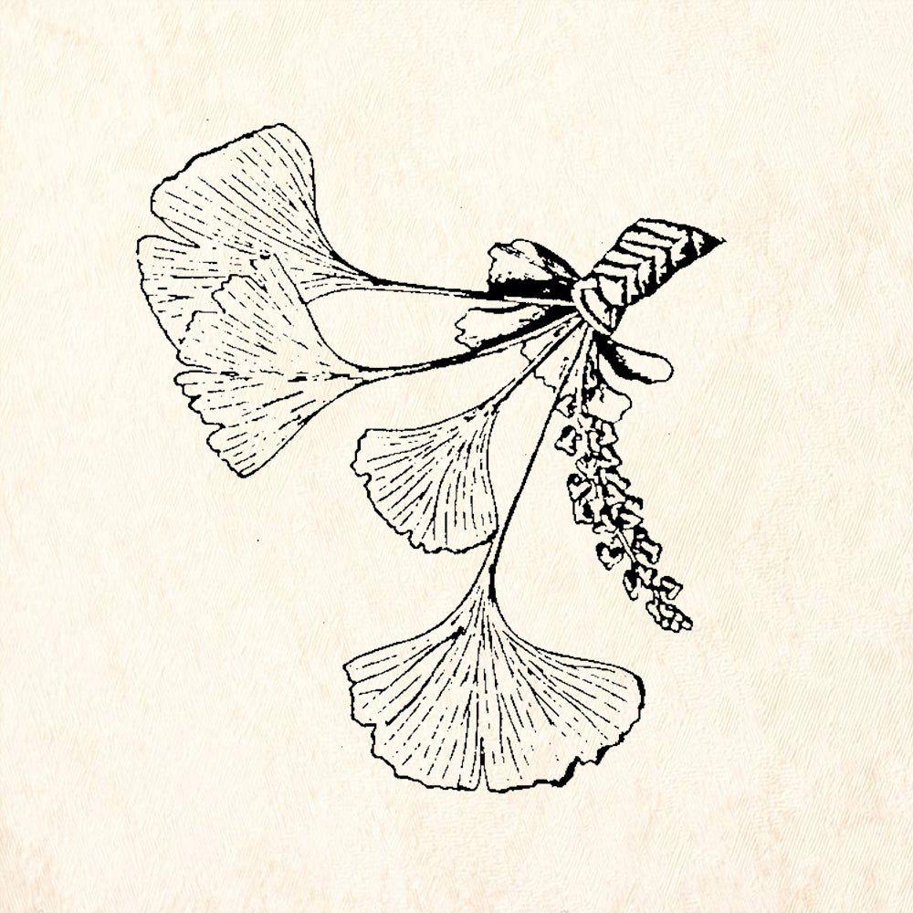 StampaFe Ginko Leaves Botanical Rubber Art Stamp