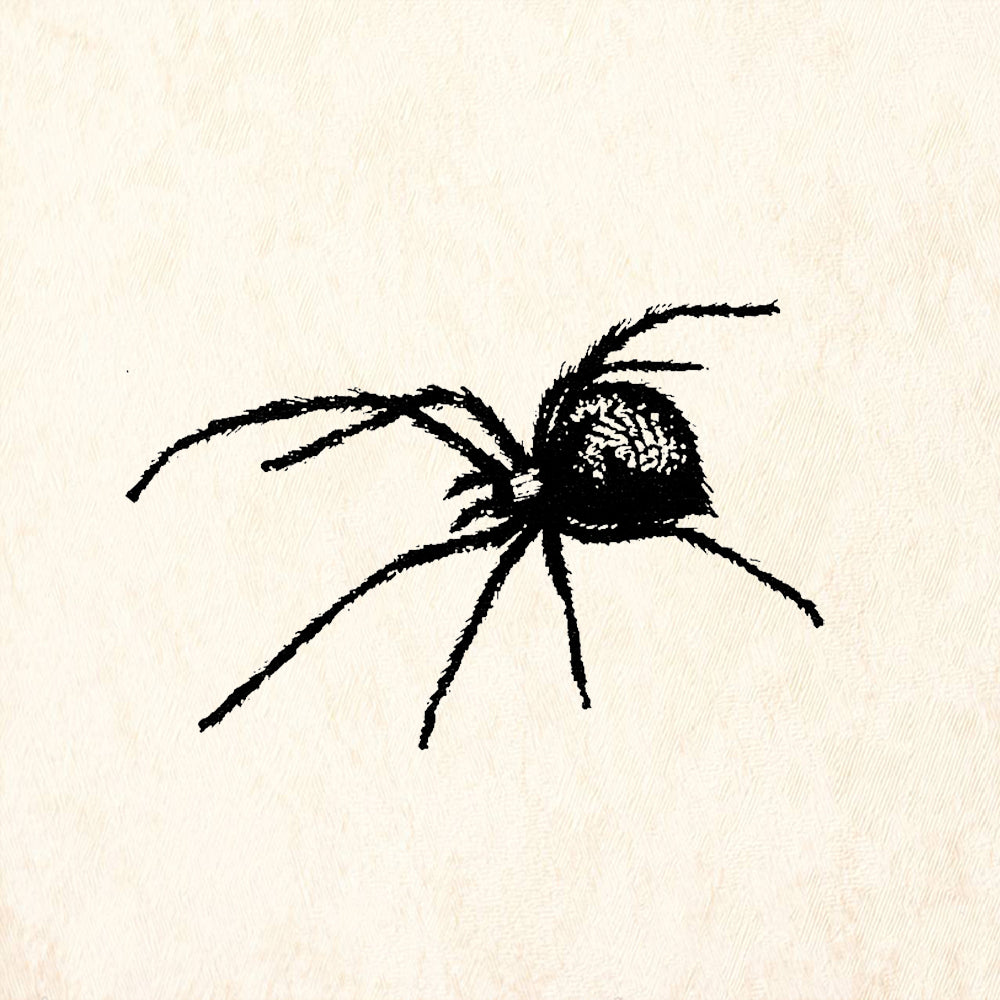 StampaFe Spider Big Halloween Rubber Art Stamp